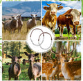 Misdary 1 Pcs Goat Show Collars Adjustable 14" Chain, 14'', Brown