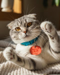 Pet Collar Charms 5-Pack – Stylish Dog & Cat Accessories, Durable and Lightweight Charms for Pet Collars, Easy to Attach