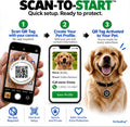 Easy Scan QR Code Pet ID Tag for Dogs & Cats