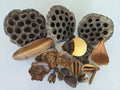 Seed Pod Aquarium Decor Botanical for Shrimp Hides and Breeding, Water Conditioner Betta Fish Botanicals, Isopods, Repti