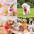WILLBOND 8 Pcs Dog Collar Flower Bow Tie for Pet Grooming, Multi-color