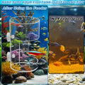 2Pcs Aquarium Fish Feeder Feeding Tray with Suction Cup, Feeding Tube Tank Divider Aquarium Breeder Box Fish Bowls Acces
