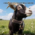 Genuine Leather Goat Collar with Brass Bell,M-22 (Neck Fits 15-19in)