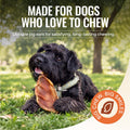 Scoochie Pet Brazilian Pig Ears - All-Natural, 75 Pack Pig Ears for Dogs