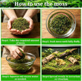 Riare 8OZ Sphagnum Moss for Reptiles- 10QT Natural Reptile Moss Bedding