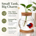Healifty Desktop Fish Bowl, Glass Hydroponic Planter Tank Kit 5. 1 X 4. 7"