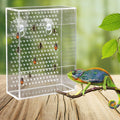 Bearded Dragon Feeder, Chameleon Bug Bowl, Transparentk Acrylic Reptile Feeder Box, Wall-Mounted Insect Food Dish with S