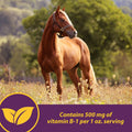 Farnam Horse Health Vita B-1 Crumbles Supplement for Horses, Supports optimal muscle activity and metabolism for perform