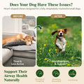Airway Support Soft Chews for Dogs, Small Breed Daily Airway Support