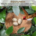 Sukh Coconut Fiber for Bird Nest - Bird Nest Bedding for Hummingbird Finch