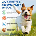 Probiotics for Dogs Dog Probiotic Chews for Yeast Itch Relief Ears Skin Coat, Gut Digestive Health & Immune Support with