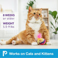 Topical Flea and Tick for Cats & Kittens: Waterproof Topical Cat Flea and Tick – Fast-Acting & Long - Lasting at Home Co
