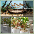 Aquarium Sand for Freshwater Tank, 2.1lbs Wedding Unity Sand, 0.4-0.8mm