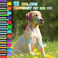 12 Pack Dog Hair Color Dye Temporary Non-toxic Vibrant Colors Washable Pet Safe Paint for Dog Cat Animals