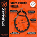 Starmark Pro-Training Dog Collar Small 15-inch, Humane No-Pull