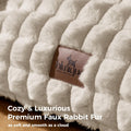Cat Couch Bed with Fluffy Faux Rabbit Fur for Indoor Cats, 36 Inch