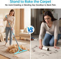 4-in 1 Carpet Rake for Pet Hair Removal, Reusable Pet Hair Remover Tool