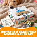 Get Well Soon Dog Gifts, Dog Care Package, Puppy Gift Basket with 3 Dog Treats and 4 Toys, Adorable Puppy Gift Basket, P