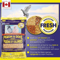 Hagen Pigeon & Dove Seed Mix, Original Formula Bird Food, 6 lb Bag
