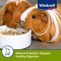 Vitakraft Menu Guinea Pig Food 5 lb.