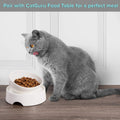 CatGuru Cat Food Bowl, Ceramic Bowls for Indoor Cats, No Spill Cat Feeding Bowl, Whisker Stress Free Kitten Bowls, Pet B