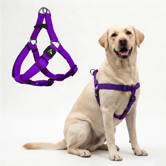 Kruz No Pull Dog Harness (Chest 21”-30”, Weight 22-53 lbs) Heavy-Duty Pet Harness for Medium Breeds, Ultra-Comfort Fit, Lifetime Durability, Adjustable Dog Harness No Pull Design (Amethyst, Medium)