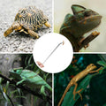 Fri4Free 2PCS 10.6" Stainless Steel Aquarium & Reptile Feeding Tweezers