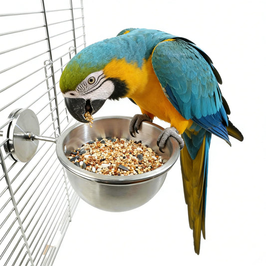 AOTU Anti Tip Stainless Steel Parrot Feeding Cups - Locking Bird Food & Water Bowls for Cage, Bird Cage Accessories for Cockatiel, Conure, Budgie, Macaw, Gray Parrot & Small Pets (L)