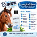 EQUIDERMA (2 Pack) Horse Skin Lotion with 10‑Count Pet Faves Pet Wipes – Gentle Soothing Relief for Cannon Bone, Mane & 