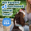 Shameless Pets Blueberry & Mint Dental Chews for Dogs, 8 Chews