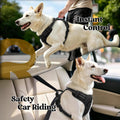 rabbitgoo Dog Harness, No Pull for Large Dogs with 2 Leash Clips, Pet Vest