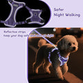 Small Dog Harness and Leash Set, Adjustable Small Sized Pet Vest