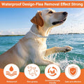 4 Pack Flea and Tick Collar for Dogs - 25" Adjustable Collar Fits Dogs, Long-Lasting 24-Month Protection for Small, Medi
