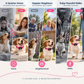 No Bark Collar with Silicone Strap, No-harm Dog Bark Collar, Bark Collar for Small Medium Large Dogs, Fashionable and Li