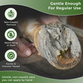 Pure Sole Hoof Clay for Horses Hoof Mud | for Horses with Thrush-Prone Hooves, Deep Sulcus Cracks & White Line Issues | 