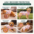 Kuoser Recovery Suit for Dogs Cats, Soft Dog Surgery Suit Female Male Spay