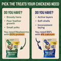 Hatortempt Bulk Dried Mealworms - 5 Lb Bag - Dried Mealworms for Chickens, Ducks & Wild Birds - High-Protein Chicken Feed & Bird Food