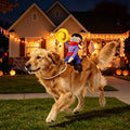 Dog Halloween Costumes, Funny Dog Cowboy Rider Costume, Adjustable Pet Halloween Cosplay Costume for Small Medium Large 