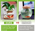 Betta Fish Bowl Glass Small Fish Tank with Bamboo Stand, Plant Propagation Station Hydroponic Terrarium with Lid beta Fi