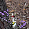 Reflective Cat Long Leash 15 FT, Outdoor Backyard Cat Tie Out Lead