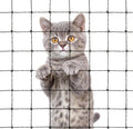 Lumirio Net Balcony Barrier for Cats, Cat Netting Fence, Indoor Outdoor Barrier, Balcony Cover, Cat Proof Fence Topper Safety Net, 10 X 13 Ft Patio Netting for Pets, Steel Wire Window Guards