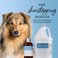 iGroom Deshedding & Detangling Dog Shampoo, Luxury Pet Beauty Care, Loosen Tangles + Unwanted Undercoat, Adds Shine + Vo
