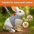 Bunny Harness and Leash Set, Soft Breathable Mesh Rabbit Leash Vest with Safety Buckles, Lightweight Escape-Proof Walkin