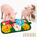 Pig Enrichment Foraging Mat Hair Brush, Pig Toys for Mini Pigs