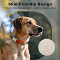 Plutus Pet Genuine Leather & Hemp Dog Collar, Adjustable, Gentle & Stylish