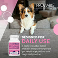 Nutramax Proviable Probiotics + Prebiotics for Dogs, Chewable Tablets, 60ct