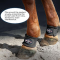 Harrison Howard Horse Pastern Wraps, Neoprene Horse Leg Wraps