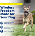 PetSafe Stay & Play Wireless Fence, 2 Dog, Up to 3/4 Acre