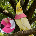 Anti-Bite Elizabethan Collar for Budgerigar Lovebird Cockatiel Cockatoo Parrots Hamster, Recovery Cone Bird Collar, Anti