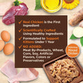 Wellness CORE Tiny Tasters Minced Kitten Wet Cat Food, Natural, Protein Rich, Grain Free, Chicken Recipe, 1.75 oz, Pack of 12 Pouches